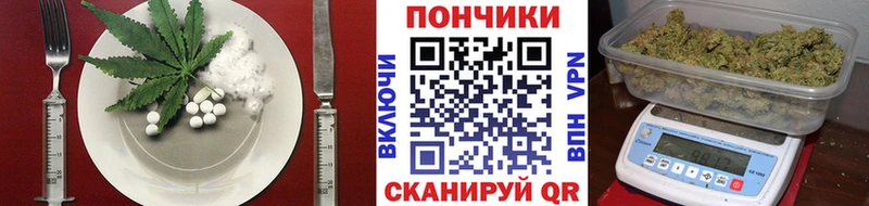 KRAKEN ССЫЛКА  Новосокольники  Cannafood конопля  цена  